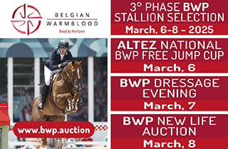 https://www.belgian-warmblood.com/en/stallion-selection