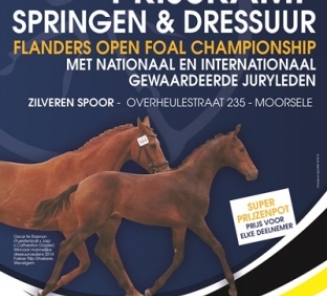 4 Juli 2015: FLANDERS OPEN FOAL CHAMPIONSHIP aangekondigde temperaturen.