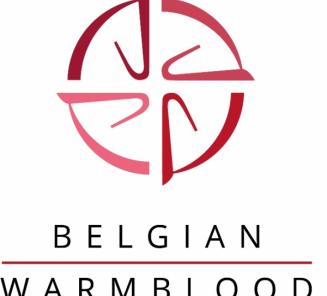BWP-fokkerij verovert Lanaken BWP-fokkerij verovert Lanaken