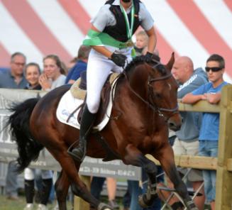 Nationaal Ponytornooi LRV: Julie Van den Bulck wint DM met BRp-goedgekeurde hengst Principal Dream vd Delthoeve