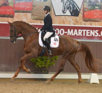 Miss Dior van den Bruel en Nercos vd Kempenhoeve winnen Corsendonk Dressage Cup!