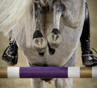 Opglabbeek: winst voor Dubbeldam & Gioia Van Het Neerenbosch