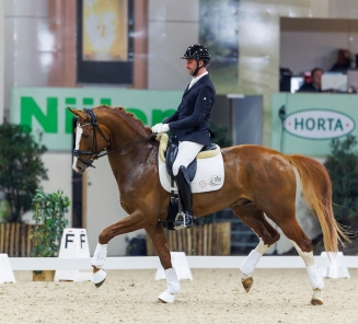 Sunnyboy van de Kempenhoeve Domien Michiels