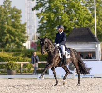 Sam Verheyden en Kryptonite van de Performing Stables