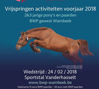 Vrijspringen activiteiten voorjaar 2018