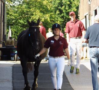 Selectie WK Young Breeders: inschrijven vóór 17 mei!