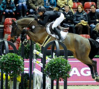 Top drie plaats voor Elvis II van de Rhandiahoeve (Nabab de Revel)