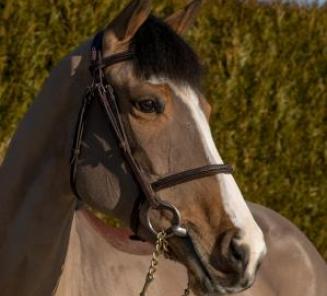 Longines Global Champions Tour of Mexico City