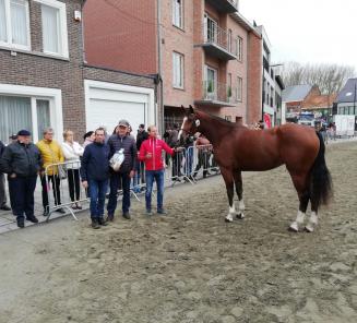 Belgie wint de Longines FEI Jumping Nations Cup of Poland