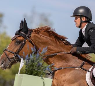 GP-goud voor London-zoon Ipswich vd Wolfsakker