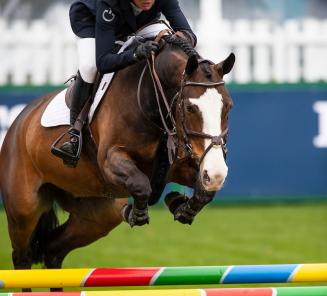 Zilver voor Echo van t Spieveld-zoon in GP Vilamoura