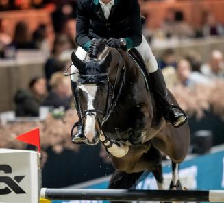 Olivier Philippaerts en BWP-elitehengst Le Blue Diamond van ’t Ruytershof