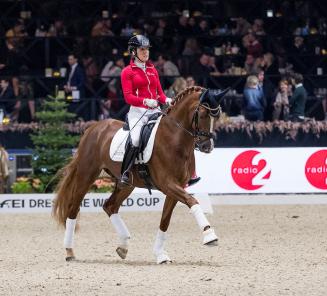 Selectietraject voor het WK Jonge dressuurpaarden in Verden 2020 bekend 