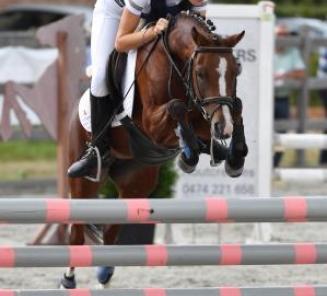 Inschrijvingen Bestgaande Rijpony Brabant open