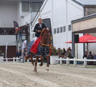 Okky-Blue S is de nieuwe kampioen van België bij de 5-jarigen