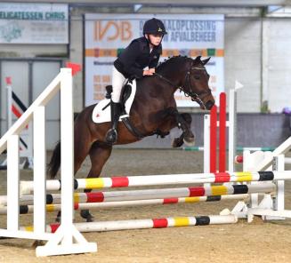 Startlijsten Bestgaande Rijpony Brabant