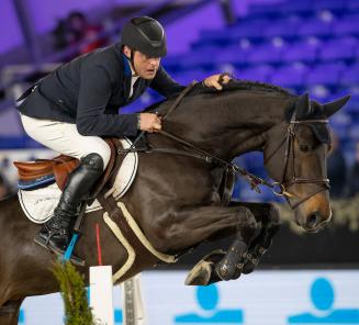 Top prestaties voor BWP goedgekeurde hengsten en BWP paarden gelinkt aan BWP gouden sponsor partners in Knokke