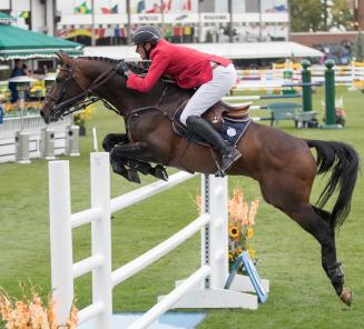 Tweede plaats voor Eldorado van het Vijverhof in Cascais