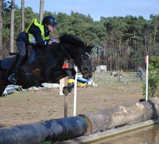 BRp-goedgekeurde hengst Cassius D.J. beleeft topweek!