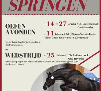 Wedstrijd vrijspringen 25/2