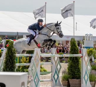 Ambassadeur Halifax vh Kluizebos naar goud in Knokke!