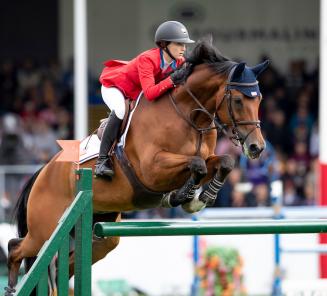 Wandor vd Mispelaere-zoon Hester (alias Fruehling van d'Avrije) wint GP Wellington