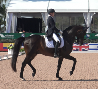 Dressuur: Ben Ebeling & Illuster vd Kampert knallen naar goud en zilver in hun eerste senior CDI3* ooit