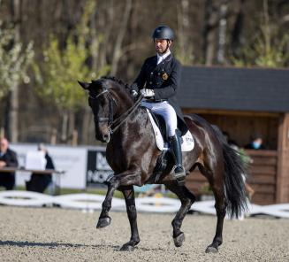 Dressuur: Fil Rouge, Intermezzo vh Meerdaelhof (foto) en Flynn houden BWP-eer hoog in Opglabbeek