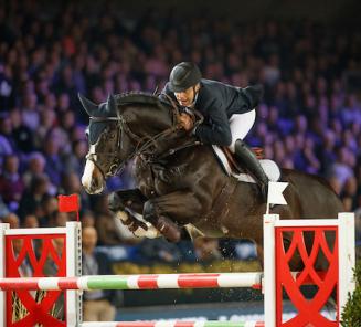 Hengsten in Mechelen: Le Blue Diamond van t Ruytershof wint de 6-jarigen! Hengsten in Mechelen: Le Blue Diamond van t Ruytershof wint de 6-jarigen!