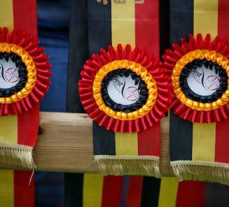 BWP reikt voor het eerst de young stallion award uit!