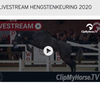 Volg onze BWP Hengstenkeuring via live stream