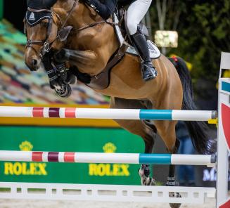 Patteet & Bamako de Muze-dochter Monalisa van ’t Paradijs winnen in ’s Hertogenbosch