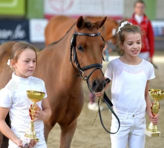 Fokkerijdag: de BRp-kampioenen op een rijtje