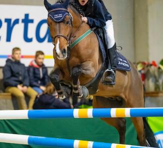 BRp-ponys scoren op SBB Finale voor Jonge Ponys!