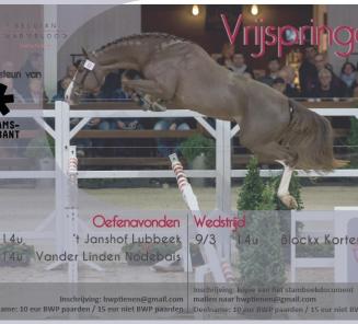 Dressuur: Laurence Roos & Fil Rouge naar Grand Prix-winst CDN Dentergem